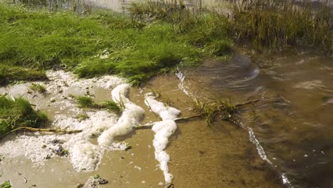 4K-river-foam-settling-in-the-bedside-of-the-Ria-de-Aveiro-on-the-estuary-of-river-Vouga,-60fps