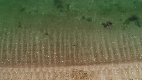 Tropical-beach-with-sea-and-palm-taken-from-drone