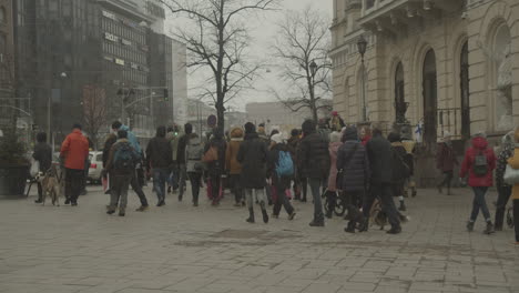 Multitud-De-Personas-Caminando-En-La-Calle-De-La-Ciudad-Durante-Una-Protesta-Pacífica