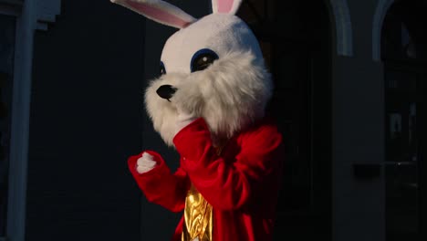 Americus-First-Friday-Kunstveranstaltung-Sumter-County-Georgia-Kostüm-Person-Verkleidet-Als-Tanzendes-Kaninchen