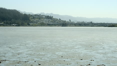 Weitwinkelaufnahme-Des-Ostufers-Der-Bucht-Von-San-Francisco-Bei-Ebbe