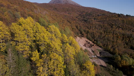 Atemberaubendes-Buntes-Laub-Alpiner-Waldbäume-Im-Herbst