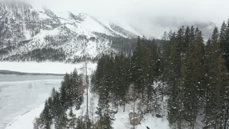 Luftaufnahmen-Eines-Kiefernwaldes-Am-Rande-Eines-Zugefrorenen-Sees-Im-Winter