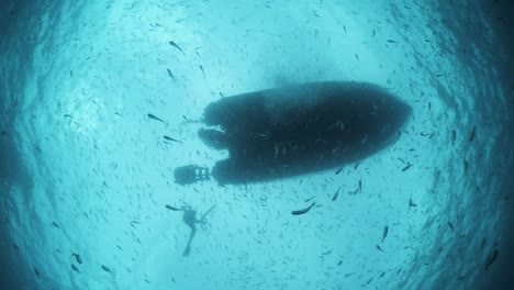 Unique-silhouette-perspective-of-a-large-boat-with-snorkelers-swimming-and-floating-in-the-clear-blue-water-with-masses-of-schooling-fish