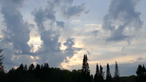 Wunderschöner-Zeitraffer-Von-Wolken,-Die-Bei-Sonnenuntergang-über-Bäume-Ziehen