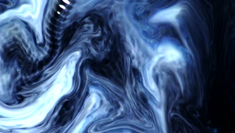 Blue-and-White-rock-the-disco---They've-got-the-moves-and-they-nailed-it---an-all-natural-AbstractVideoClip