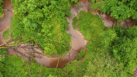 Small-river-meanders-in-thick-green-forest,-aerial-drone-shot