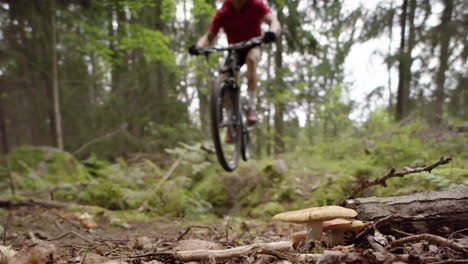 WIDE-SLOW-MOTION,-mountain-biker-doing-a-jump-next-to-mushrooms