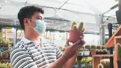 A-masked-asian-man-picks-up-a-potted-cactus-and-examines-it-in-bright-sunlight-inside-a-greenhouse-hothouse-garden-center