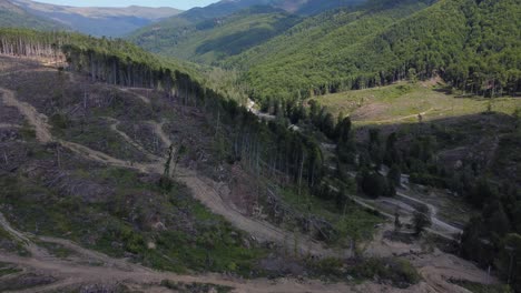 Hill-Forest-Deforestation-in-Romania,-Central-Europe---Aerial-drone-flying-tilt-upshot
