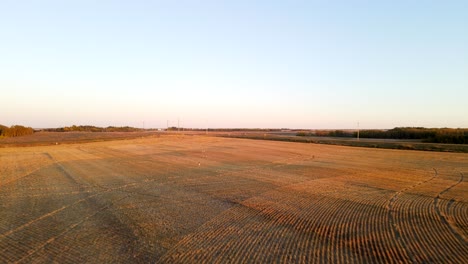 Luftaufnahme,-Die-Während-Des-Farbenprächtigen-Sonnenuntergangs-über-Goldene-Weizenfelder-Fliegt-Und-Einer-Gabelbock-Antilopenherde-Im-Ländlichen-Alberta,-Kanada,-Nachjagt
