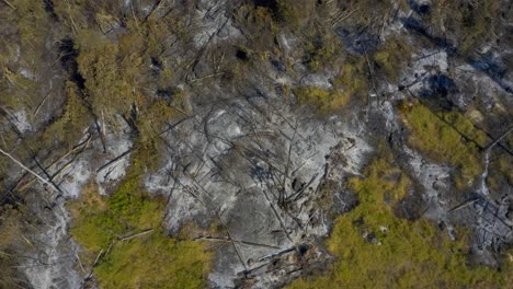 Ascending-aerial-view-reveals-the-damage-to-Brazil's-Amazon-rain-forest-from-bushfires