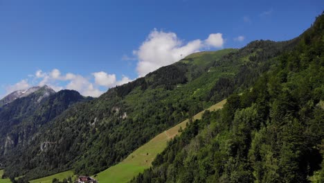 Dense-Mountain-Forest-Under-Bright-Blue-Sky-In-Kaprun,-Austria-On-A-Sunny-Day