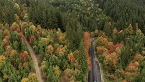 Aerial-view-of-car-moving-along-the-road-in-an-autumn-mountain-forest-in-Romania