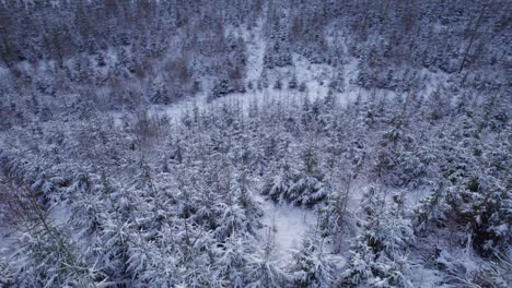 Early-Morning-in-Snowy-Rural-Landscape