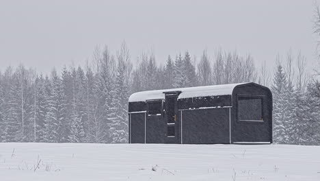 House-Built-With-Thermowood-In-Front-Of-The-Forest-During-Snowstorm