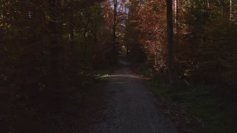 Herbstwald,-Rückzugsdrohnenaufnahme-Von-Den-Bunten-Bäumen-Nach-Oben,-Um-Den-Blauen-Himmelshorizont-Freizugeben