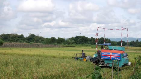 Yogyakarta,-Indonesia---Dec-11,-2021:Agriculture-farm-of-rice-harvest-and-farmer