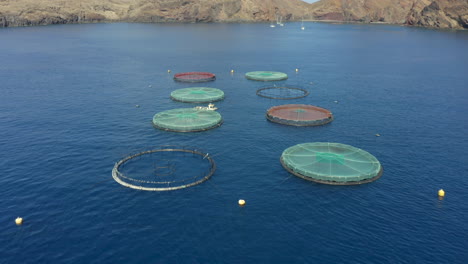 Luftaufnahme-Von-Runden-Fischkäfigen-Auf-Einer-Fischfarm-Im-Nordatlantik-In-Der-Nähe-Der-Insel-Madeira-In-Portugal