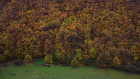 Autumn-forest-trees-yellow-and-red-foliage,-woodland-aerial-view