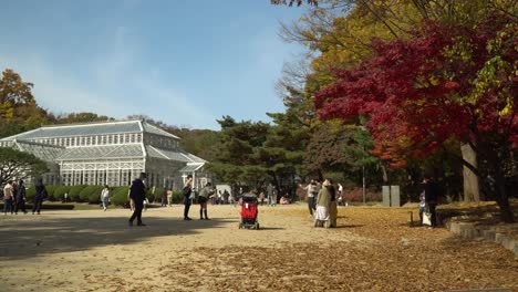 Cultural-Heritage-Grand-Greenhouse-of-Changgyeonggung-Palace-Seoul,-South-Korea