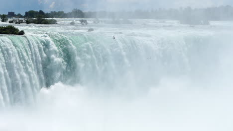 Niagara-Falls-with-a-Bird-Flying-in-the-Rising-Mist-near-Brink-of-Waterfall,-Handheld-Slow-Motion-Shot