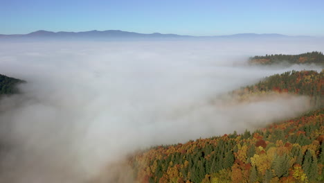 Flight-Over-Autumn-Forest-Covered-with-Dense-Fogs,-Mountains-in-Background,-Romania