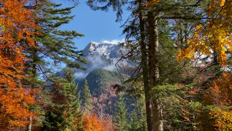 Hermoso-Paisaje-Otoñal-Cerca-De-Scharnitz-En-Austria-Con-Coloridos-árboles-Caducifolios-Y-Montañas-Cubiertas-De-Nieve-En-El-Fondo