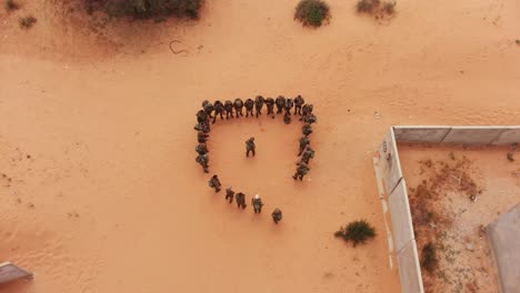aerial-view-top-shot-of-soldiers-at-the-desert-getting-commands-from-their-commander