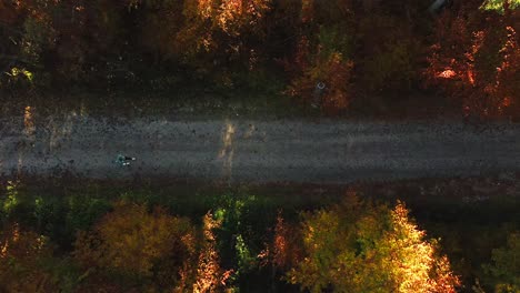 Steady-aerial-shot-of-a-happy-walking-man-in-a-autumn-colored-forest,-captured-in-4K-straight-from-above-by-a-drone