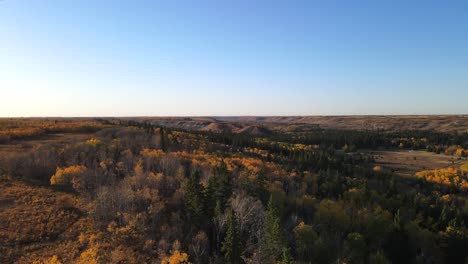 Drone-flying-forwards-revealing-the-colours-of-autumn-season-in-central-Alberta-during-fall