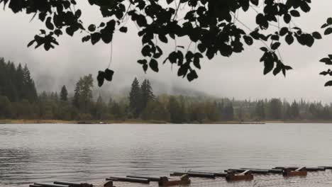 Leaves-swaying-with-the-wind,-overlooking-Alta-Lake-in-Whistler-BC-on-a-foggy-and-misty-day