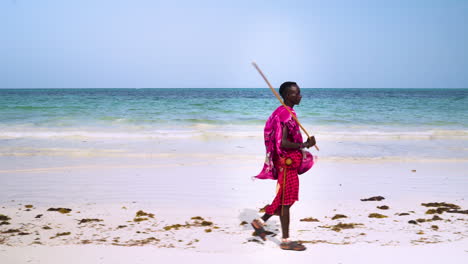 Maasai-man-in-pink-clothes-walking-on-sand-beach,-holding-wooden-stick
