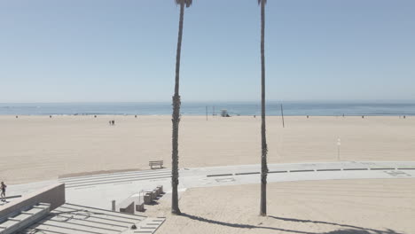Southern-California-beach-as-a-drone-flies-through-two-palm-trees