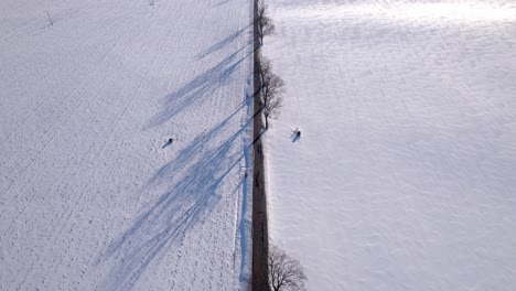 Aerial-Drone-Top-View-Panning-Over-Deserted-Tree-Lined-Road-Surrounded-By-White-Snow-In-Czech-Republic-In-Winter-On-Clear-Day