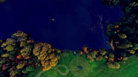 Aerial-top-down-shot-of-tranquil-blue-lake-and-colorful-trees-on-shoreline-during-autumn-day-in-nature