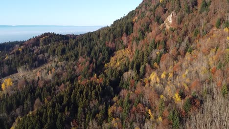 Drohnenaufnahme-Eines-Farbenfrohen-Herbstberghangs,-Der-Mit-Wald-Bedeckt-Ist