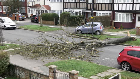 Car-Driving-On-Pavement-Around-Fallen-Tree-In-Residential-Road-In-London-Due-To-Storm-Eunice-On-18-February-2022