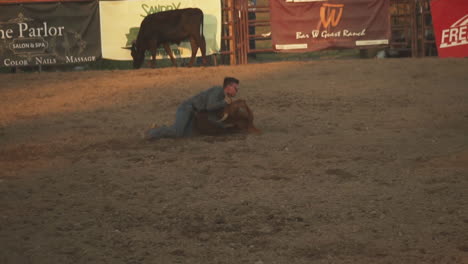 Mann-Springt-Während-Eines-Cowboy-Wettbewerbs-Vom-Pferd,-Um-Eine-Kleine-Kuh-Anzugreifen
