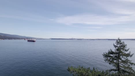Drone-flying-between-trees-with-cargo-ship-in-background,-Vancouver-in-Canada