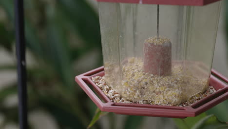 Sad-close-up-of-bird-feeder-moving-in-the-wind-and-no-birds