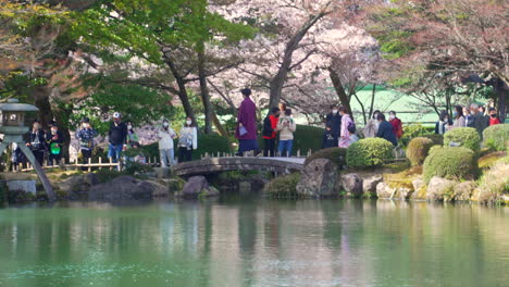 Young-Japanese-couple-in-kimono-walking-over-a-stone-bridge-with-sakura-trees-and-groups-of-people-gathering-in-the-background-during-sakura-season-at-Kenrokuen-Garden-in-Kanazawa,-Japan