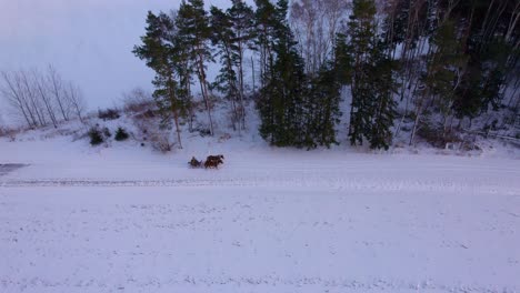 Horse-drawn-sleigh-with-moving-people-winter-landscape-and-snow-covered-forest