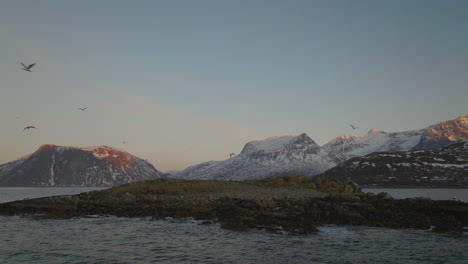 Seagulls-Flying-Over-Fjord-Islet-In-Norway-Landscape,-Slowmo-Aerial