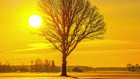 Malerisch-Mit-Silhouetten-Von-Bäumen-Vor-Dem-Warmen-Sonnenuntergangshimmel