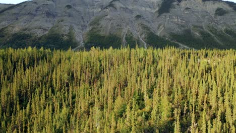 El-Rápido-Ascenso-De-Drones-Revela-Un-Gran-Bosque-Montañoso-De-Una-Gran-Montaña-Rocosa-Con-Una-Pendiente-Descendente-En-La-Columbia-Británica,-Canadá