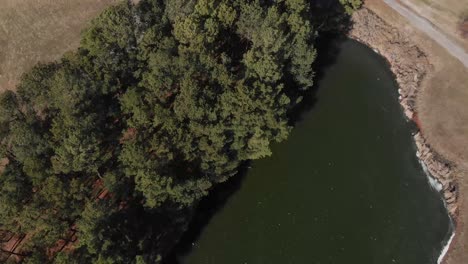 4k-Aerial-Drone-footage-of-a-frozen-lake-with-pine-trees-on-the-edge