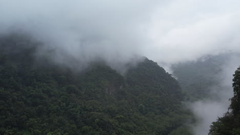 Mañana-Nublada-En-La-Selva-Mexicana