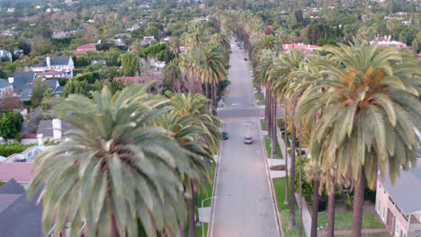 Flying-along-the-empty-road-in-Beverly-Hills-surrounded-by-tall-palm-trees