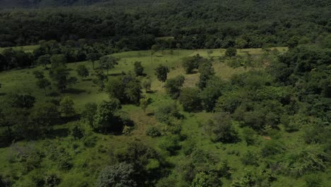 Ungeklärte-Wildnis-In-Der-Brasilianischen-Savanne,-Die-Immer-Noch-Vor-Der-Abholzung-Geschützt-Ist-–-Rückansicht-Aus-Der-Luft